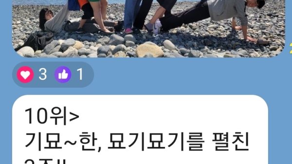 기묘한 사진전 당선작
